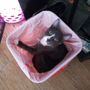 Meet your Posher, Teather